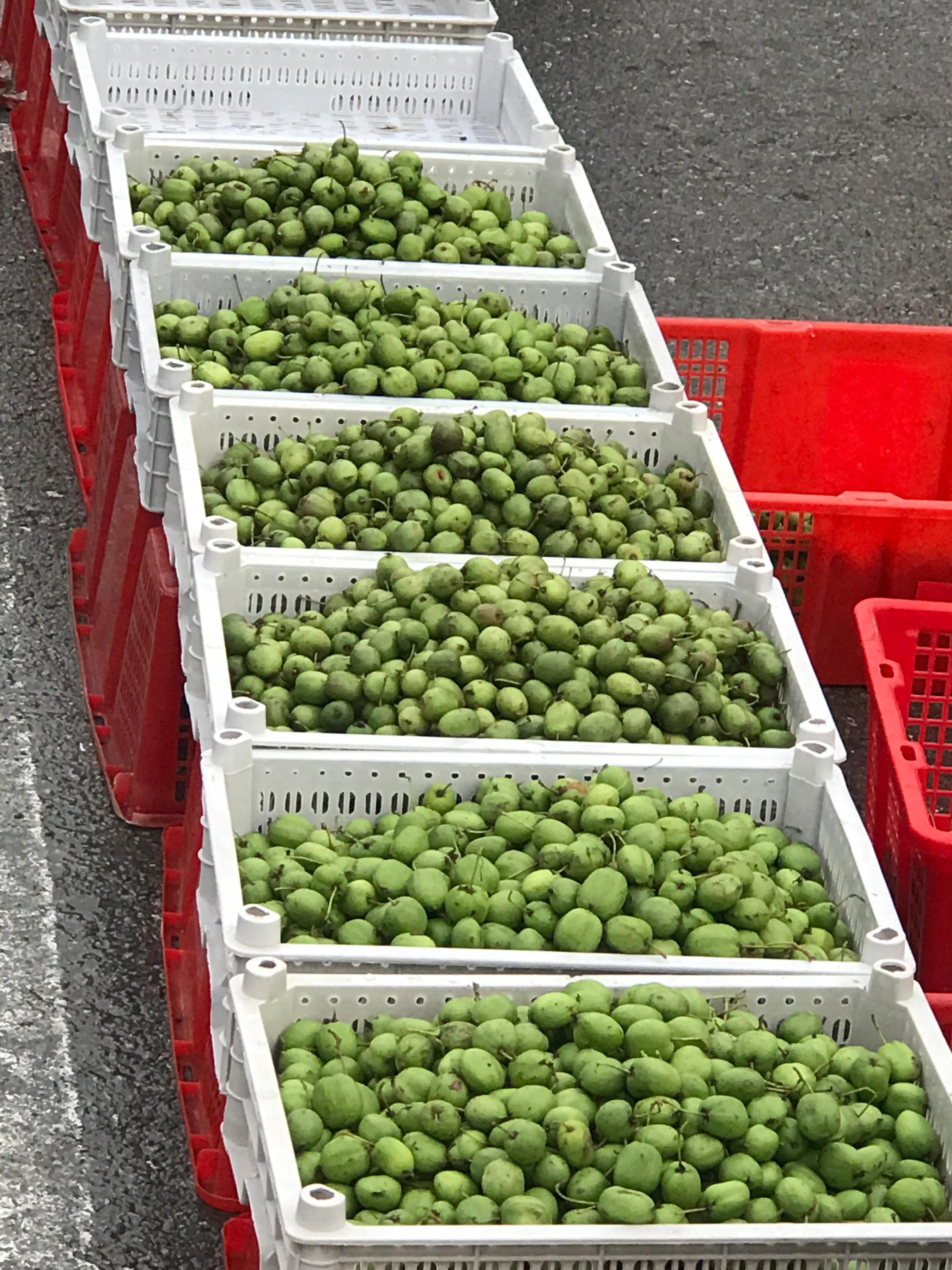 辉南街早市开了吗,辉南朝阳镇早市开门营业时间