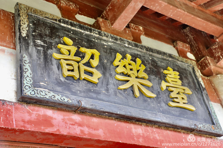 看洛阳牡丹花卉节,洛阳古都牡丹花展