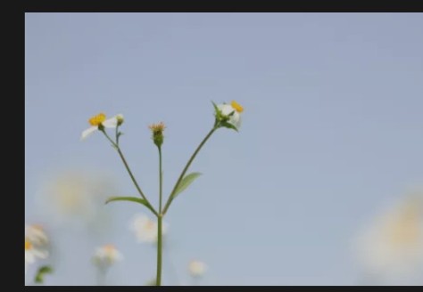 长得丑没有自信发照片怎么办,长得丑没自信怎么办