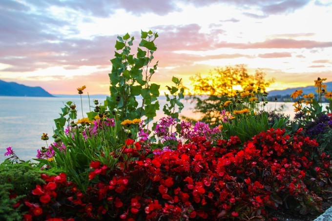 瑞士蒙特勒镇旅游攻略,蒙特勒小镇美景