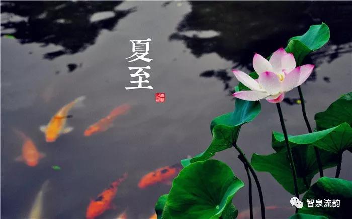 郭进拴神游索溪峪,郭进拴全部视频