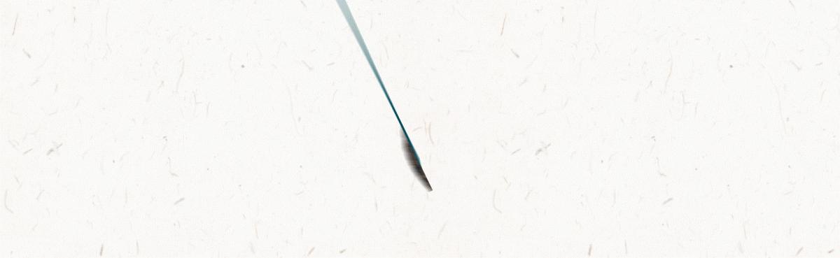 这么多年茶白喝了，竟然连绿茶有这么多花色都不知道？