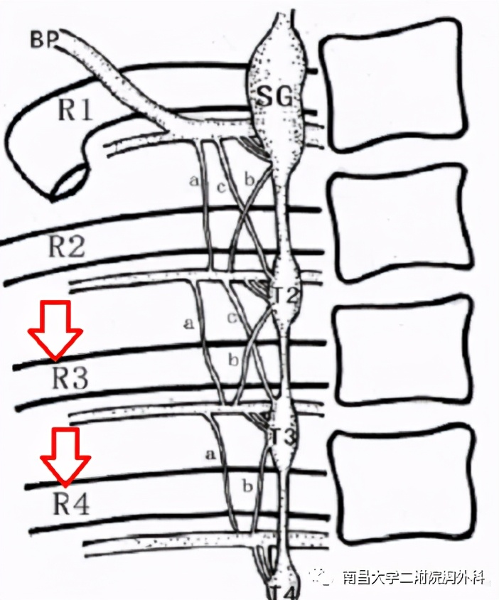 手汗症选哪个医院,手汗症大学科普