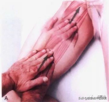 女性盆底健康问题，针刺要扎三阴交，手法要选内收肌