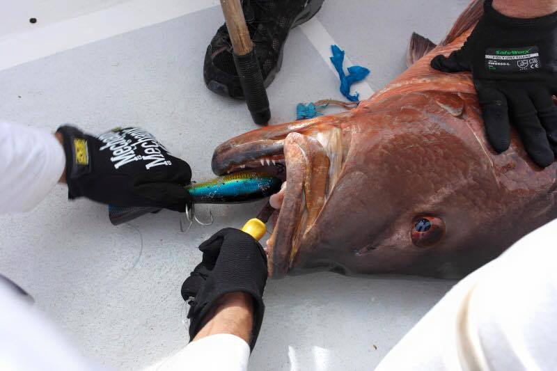 世界各地钓鱼爱好者,世界各地钓鱼的人