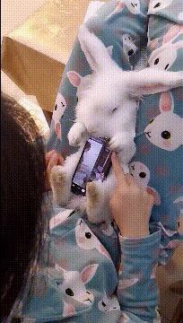 “兄弟睡觉压得胳膊都变色了，要不要叫醒他？”醒来一定很酸爽