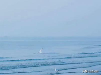 一问一答撩人表白情话,幽默套路撩人表白情话