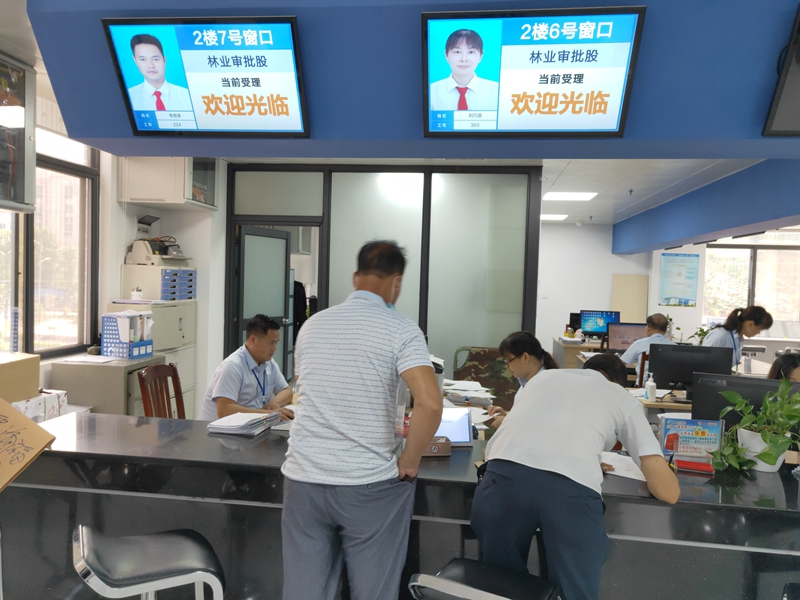 林木采伐许可证多久办下来,柳州市柳江区林木采伐证查询