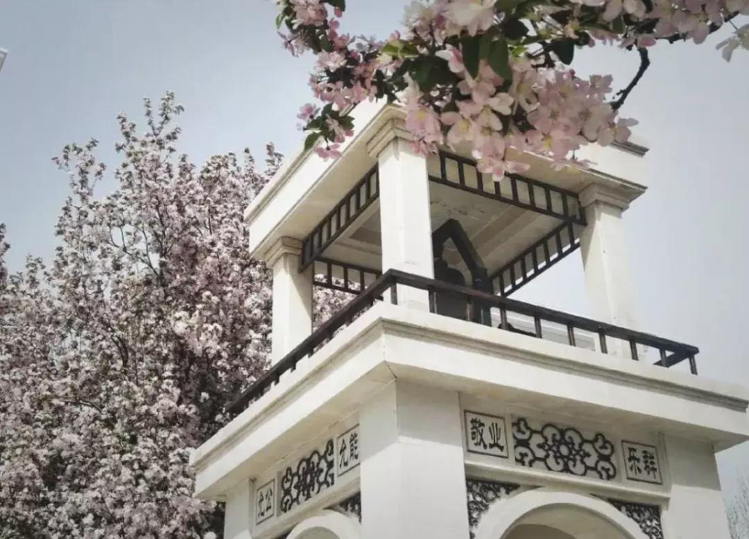 天津南开中学具有厚重的历史文脉,在天津学习心得体会