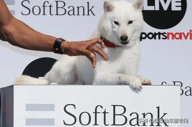 日本留学生可以办手机卡吗,留学生如何申请日本手机卡