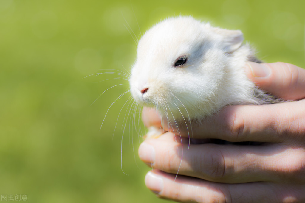 娌荤枟鍏斿瓙鐪熻弻鎰熸煋鐢ㄤ粈涔堣嵂,娌荤枟鍏斿瓙鐪熻弻鎰熸煋鐨勮嵂