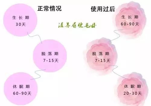 每天涂睫毛膏有助于睫毛生长吗,睫毛打底会促进睫毛生长吗