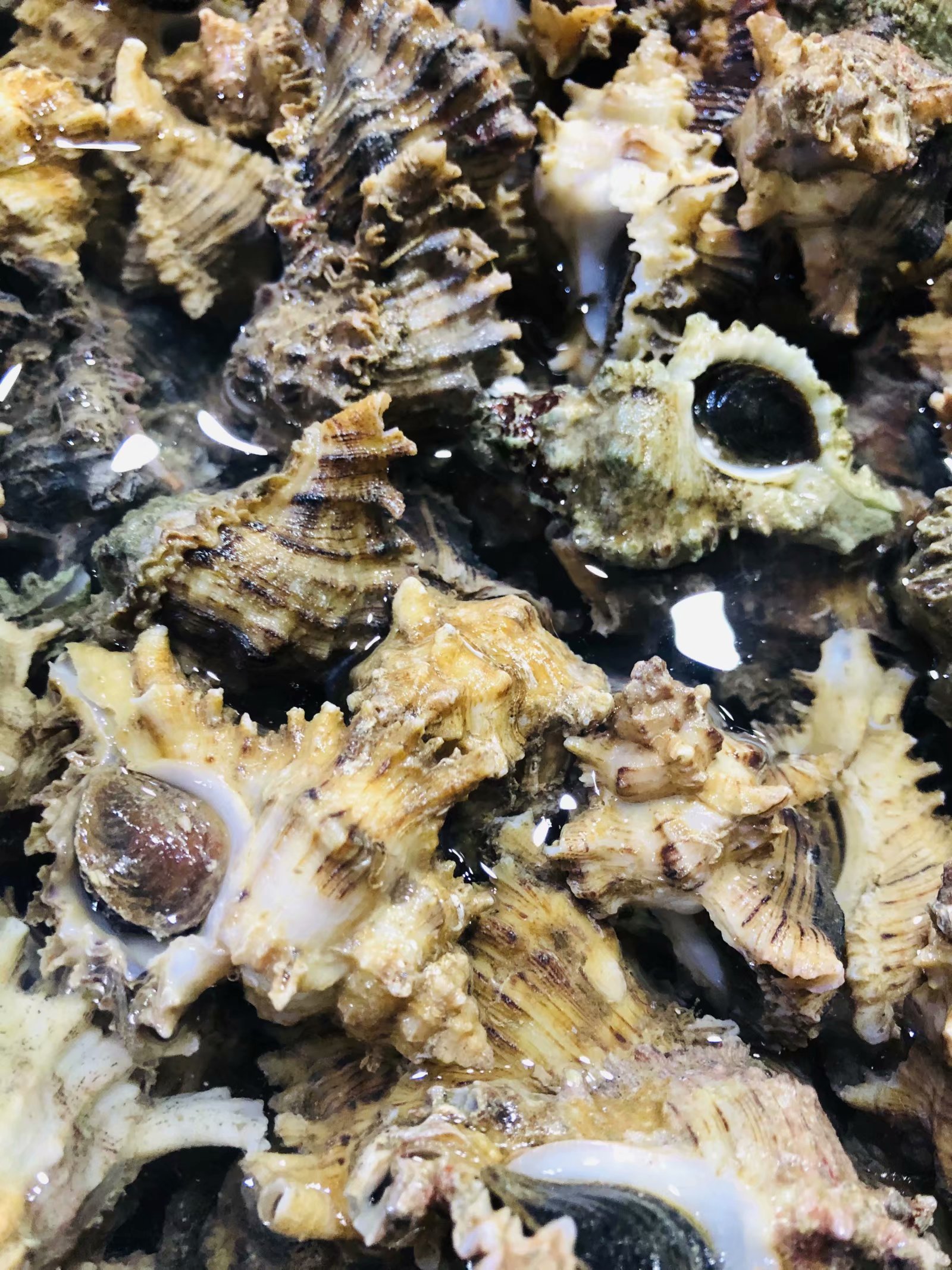 成都夫妻7天花5000玩遍涠洲岛（最后有防踩坑攻略）