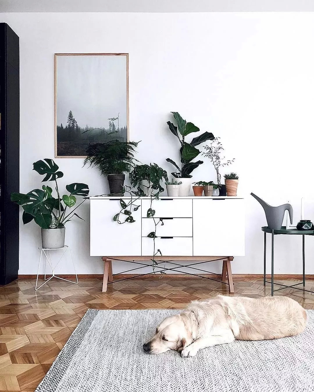 开窗通风和房间密闭甲醛差别大吗,甲醛治理后要24小时开窗通风吗