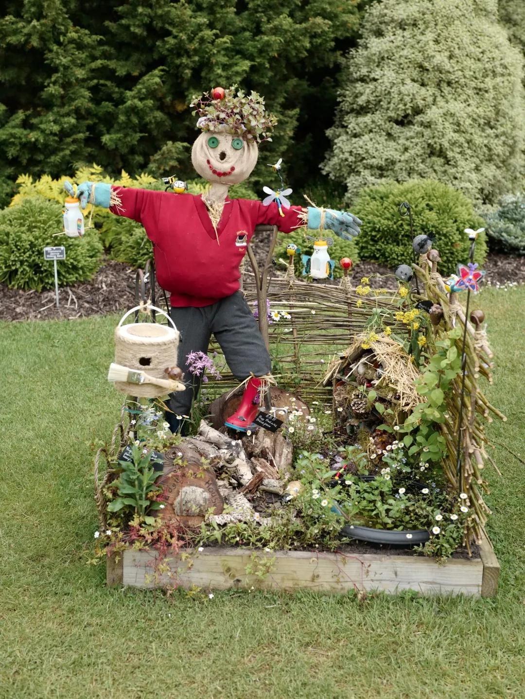 建一座完全不打药的生态花园，所有生命在这里和谐共处，值得收藏