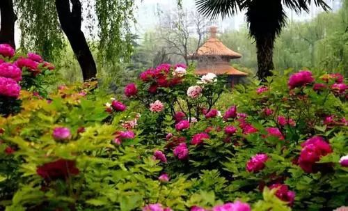 洛阳景区高速免费范围,洛阳到济源高速免费政策