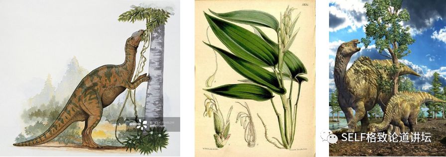 关于恐龙的研究详细,恐龙食谱大全及做法