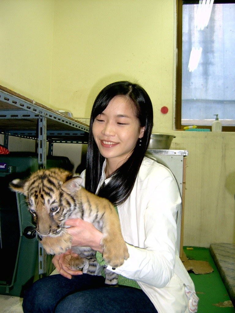 2006年韩国女生聚餐失踪,韩国女大学生失踪事件