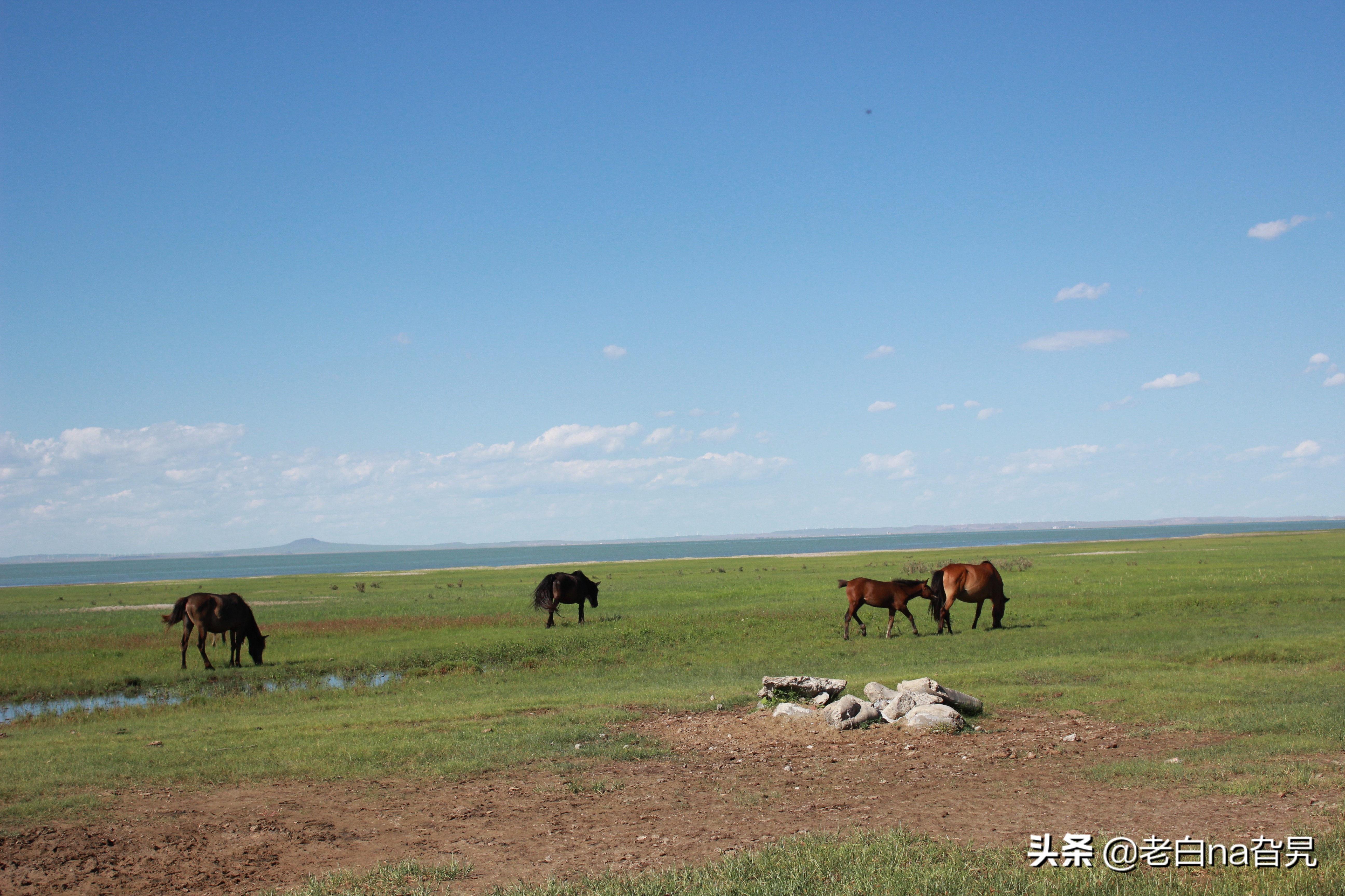 达里诺尔湖早上的风景,达里诺尔湖四大名湖