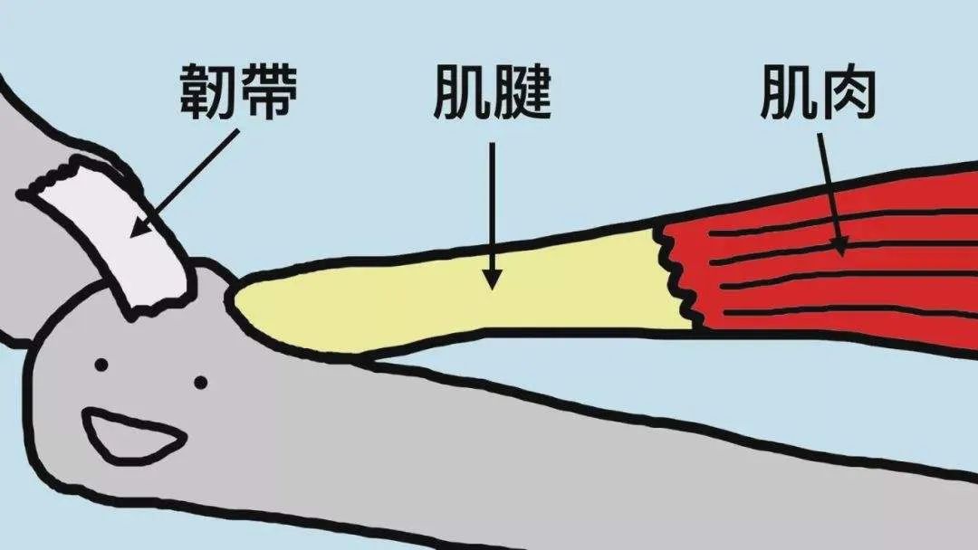 明星正骨后遗症,明星正骨效果明显
