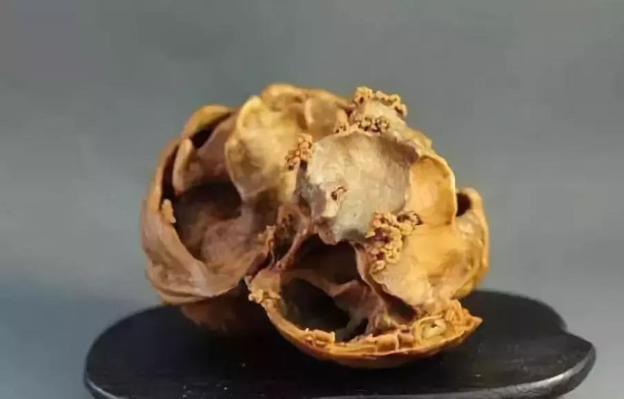 价值240万非洲的原木,雕刻成品出来后震惊全场,一片心疼声!