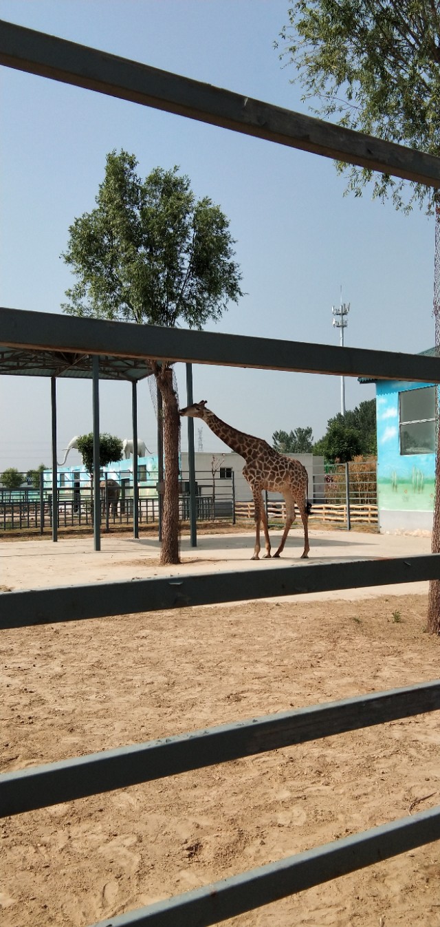 德州动植物园位置,德州动植物园免费吗