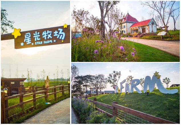 当网红“阿狸”遇到田野农场,实现IP变现新路径