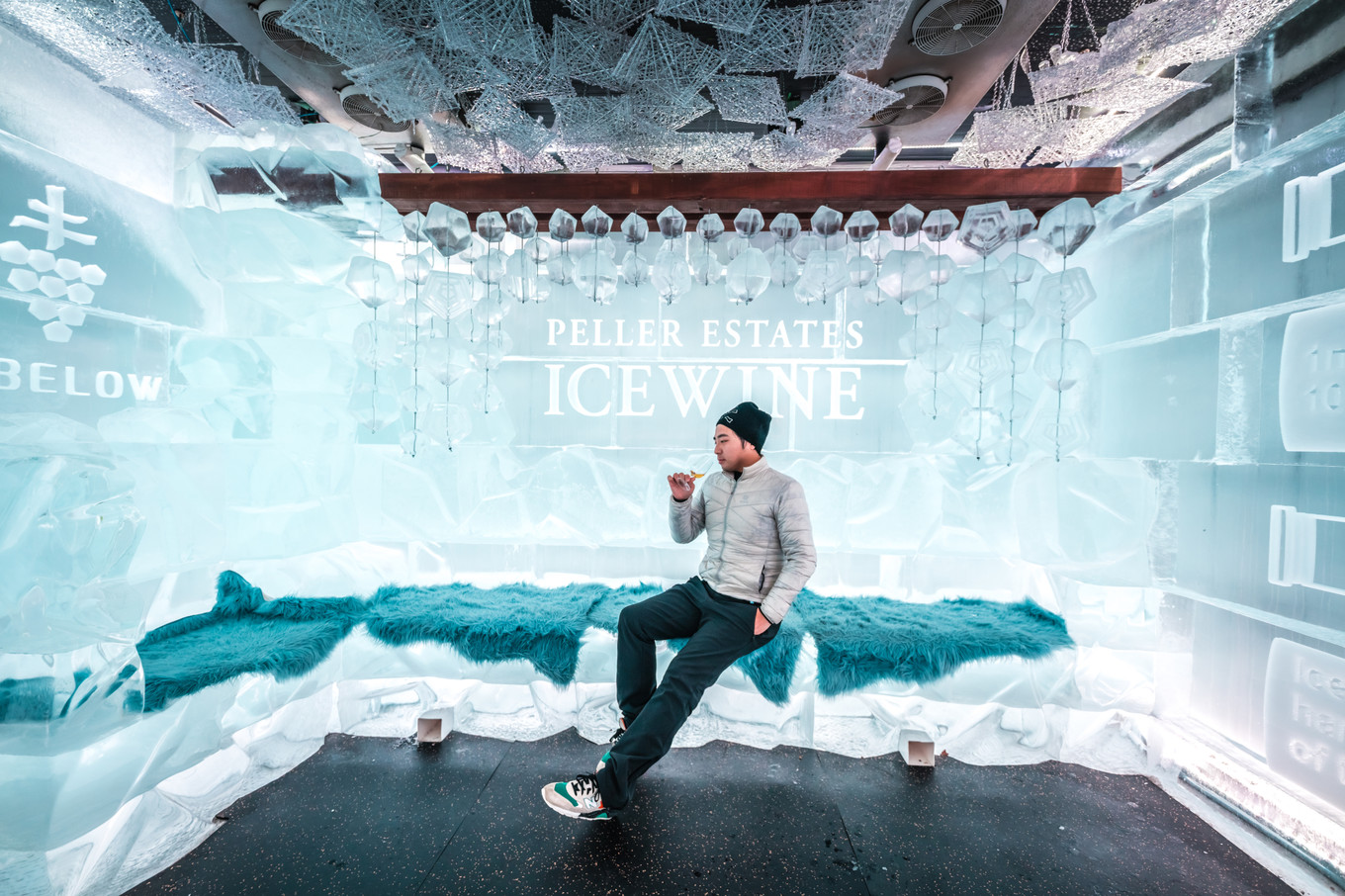 冬天多伦多旅游攻略,多伦多冬季旅游