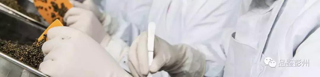 珍贵的鲟鱼子酱,顶级的鲟鱼子酱