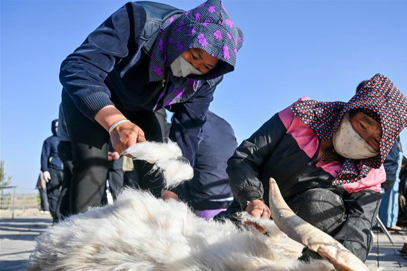 软黄金羊绒是什么,羊绒属于什么材料