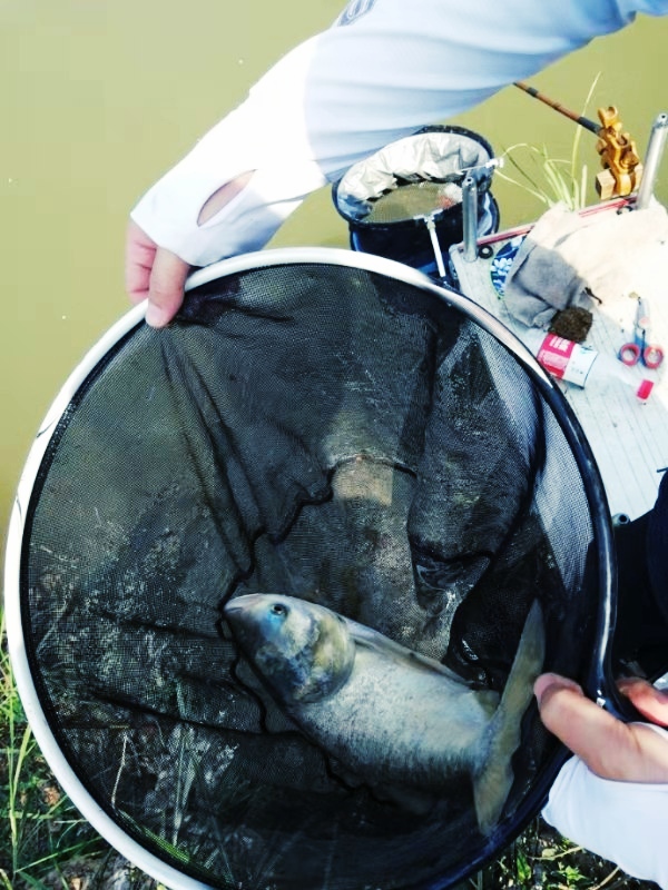 钓鱼新手入坑指南,新手钓鱼入坑建议路滑吗