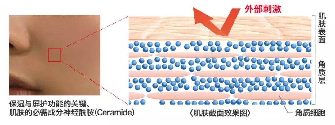 日本curel珂润补水,日本curel珂润化妆水乳液