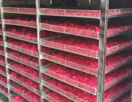 枸杞空气能烘干机厂家,热泵中药材烘干机