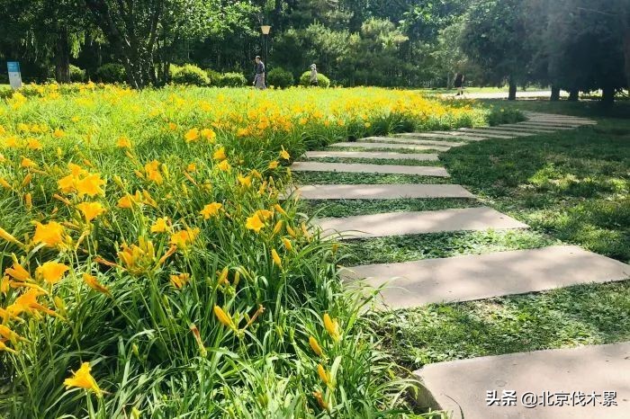 芒种旅游景点推荐,芒种至仲夏节气