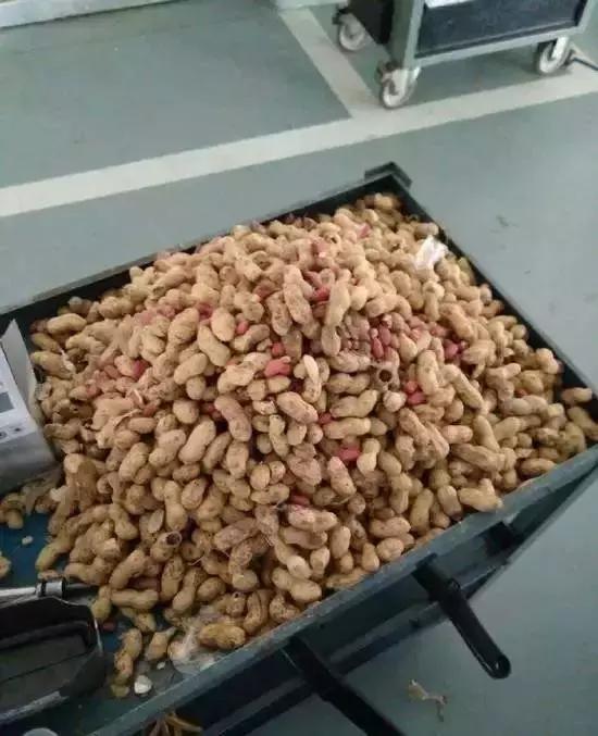 冬天怎么防止小动物钻进发动机舱,冬季防止小动物进入发动机舱