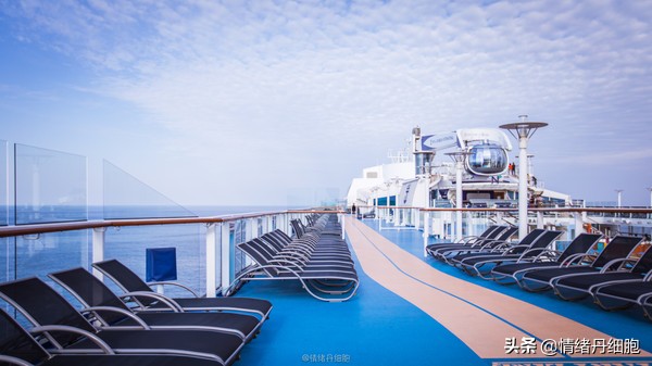 邮轮游选择哪个游轮好,邮轮旅游全攻略公主号