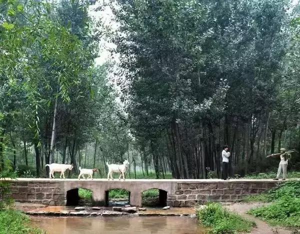 孟津值得去的景点,孟津有啥好的旅游景点