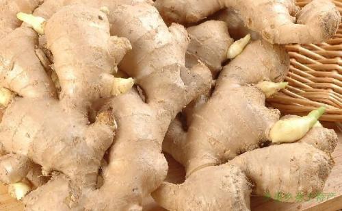 生姜种植的步骤和方法,生姜的种植过程和方法