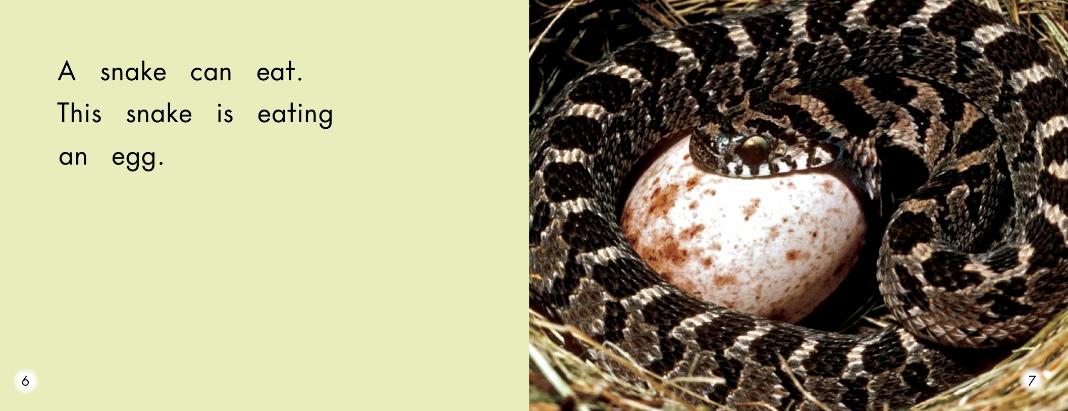 英语绘本故事小怪物,蝴蝶英语绘本阅读