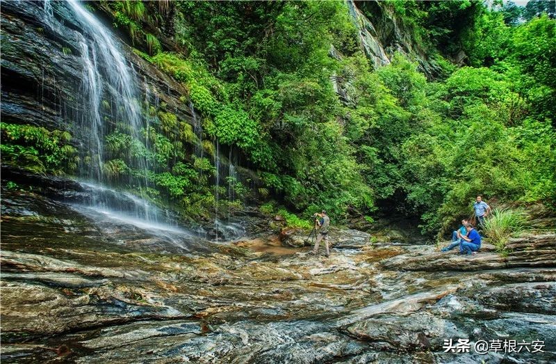 谢谢你来了全集,谢谢你医生