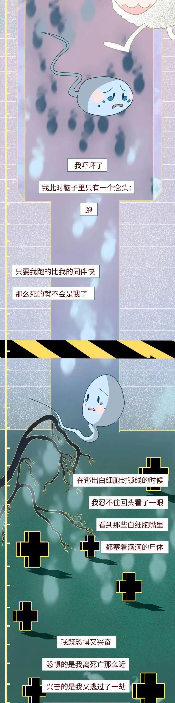 绮惧瓙杩涘叆浜轰綋1灏忔椂鍙樺寲,绮惧瓙杩涘叆浜轰綋48灏忔椂鍙樺寲