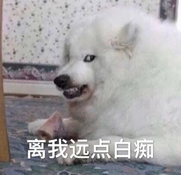 狗狗第一次来姨妈很肿,狗狗第一次来姨妈拉肚子