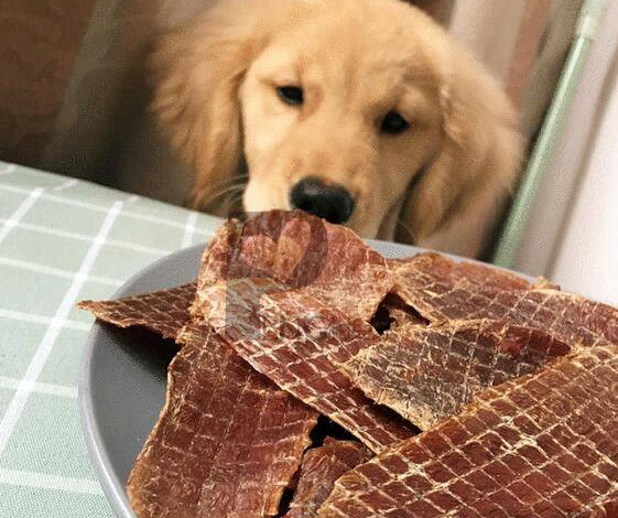 狗子挑食不吃饭怎么办是生病了吗,狗子挑食怎么处理最有效