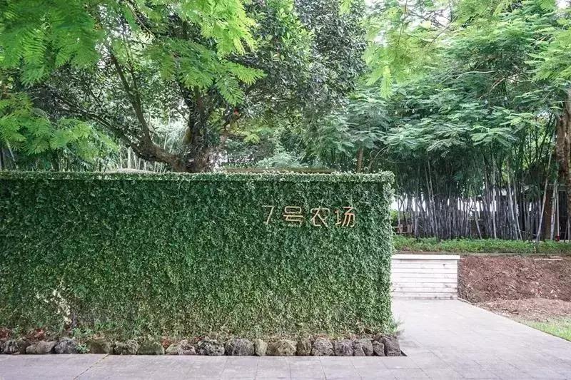 顺德适合10-15人聚会的餐厅,顺德聚餐推荐餐厅10人以上