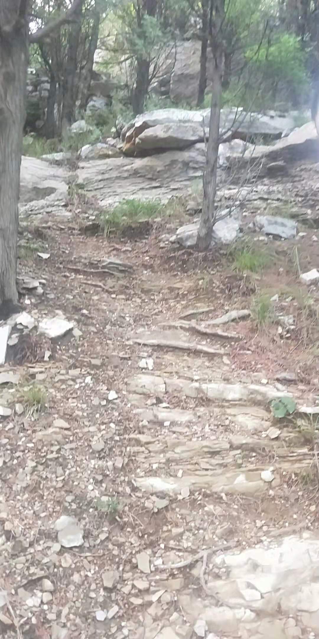 济南白云山好爬吗,济南龙洞白云山旅游攻略