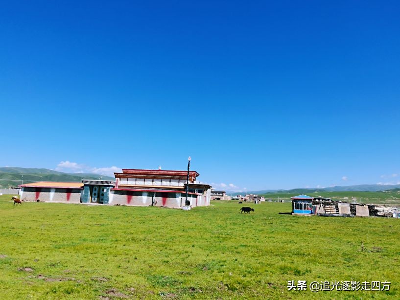 西安甘南七日自驾游最全攻略,甘南莲宝叶则风景区海拔