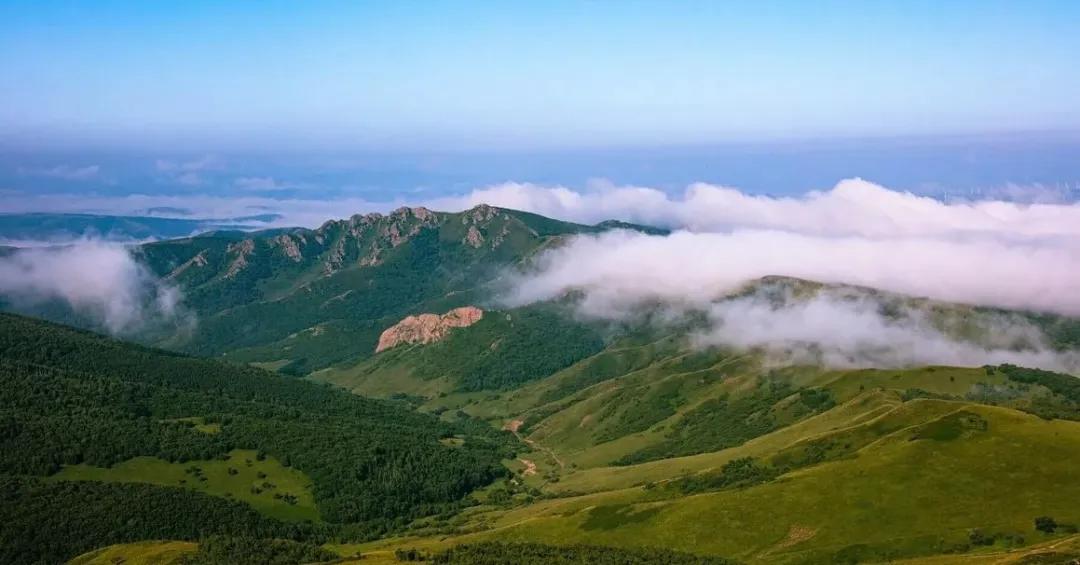 有一种绿绿绿绿绿绿绿，叫赤峰的林