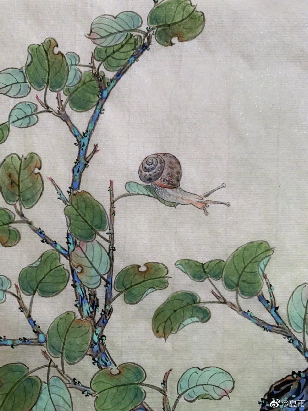 影帝夏雨书法真迹,演员夏雨晒书法作品