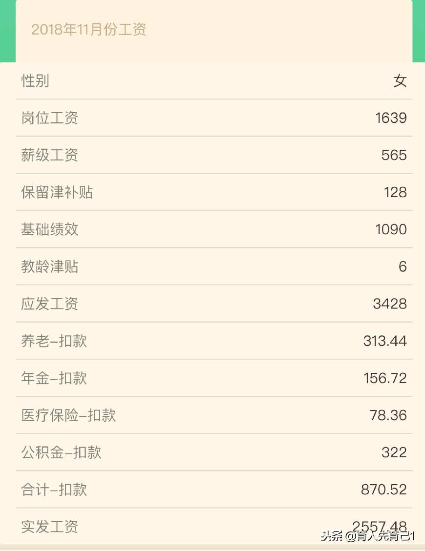 教师工资表样表,教师每月工资明细表