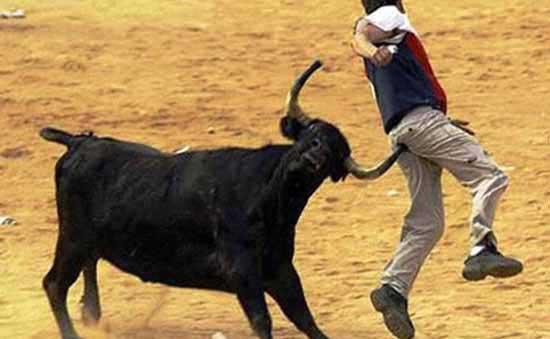 体育比赛上的爆笑场面,体育比赛25个奇葩瞬间